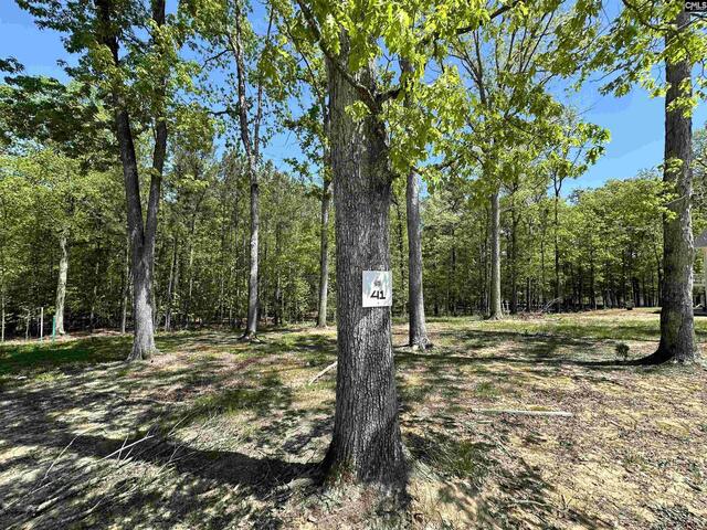 Photo of Lot 41 Shoreview Drive