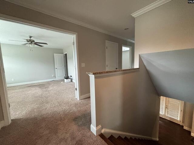 Photo of 88C Tombfield Road