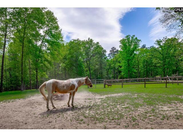 Photo of 448 Longtown Road