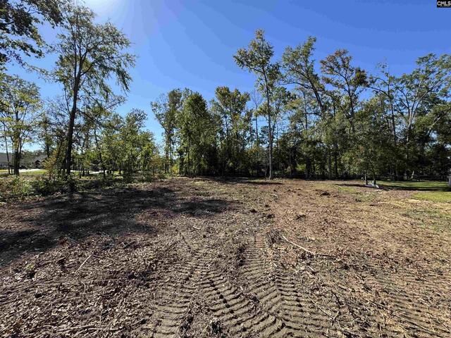 Photo of Lot 6 Longview Drive