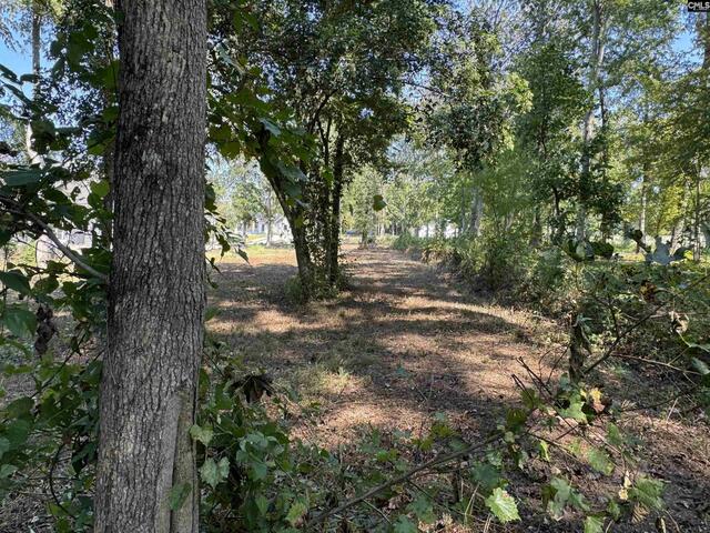 Photo of Lot 6 Longview Drive