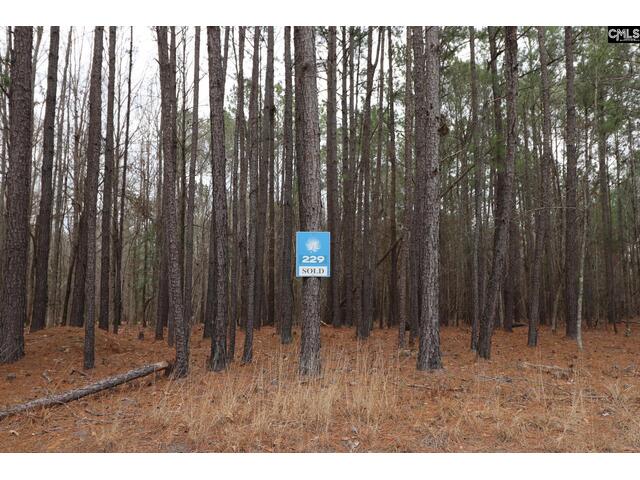 Photo of LOT 229 Granny Hill Road