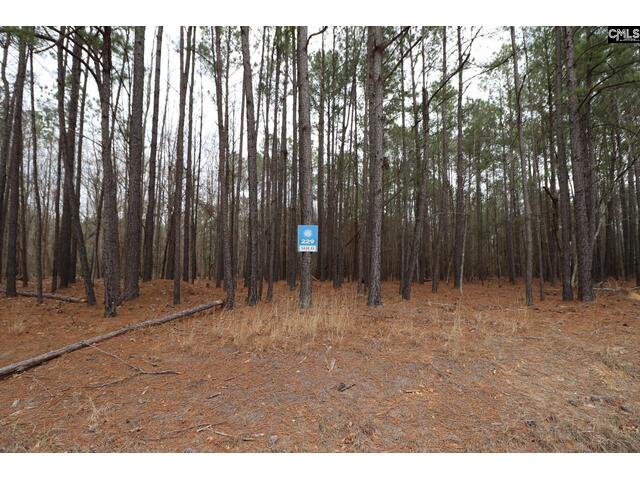 Photo of LOT 229 Granny Hill Road