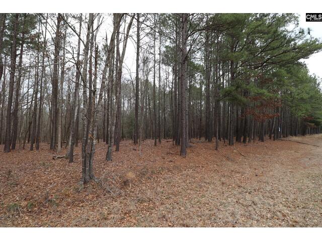 Photo of LOT 229 Granny Hill Road