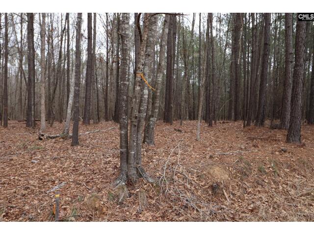 Photo of LOT 229 Granny Hill Road