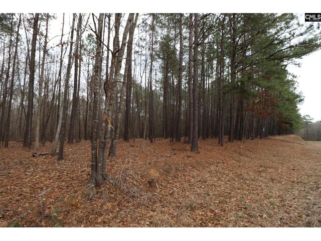 Photo of LOT 229 Granny Hill Road