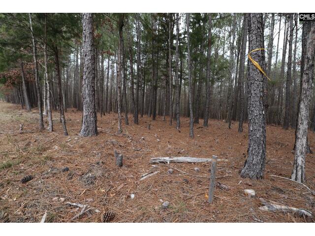 Photo of LOT 229 Granny Hill Road