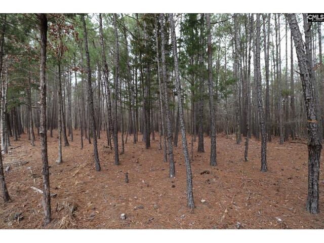 Photo of LOT 229 Granny Hill Road