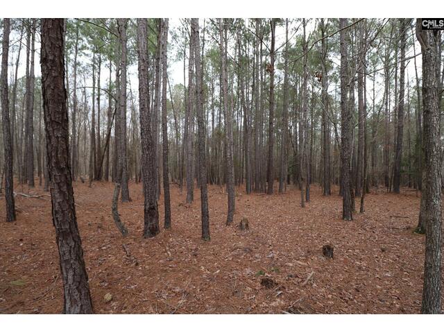 Photo of LOT 229 Granny Hill Road