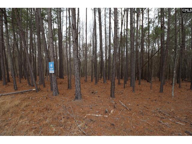 Photo of LOT 229 Granny Hill Road