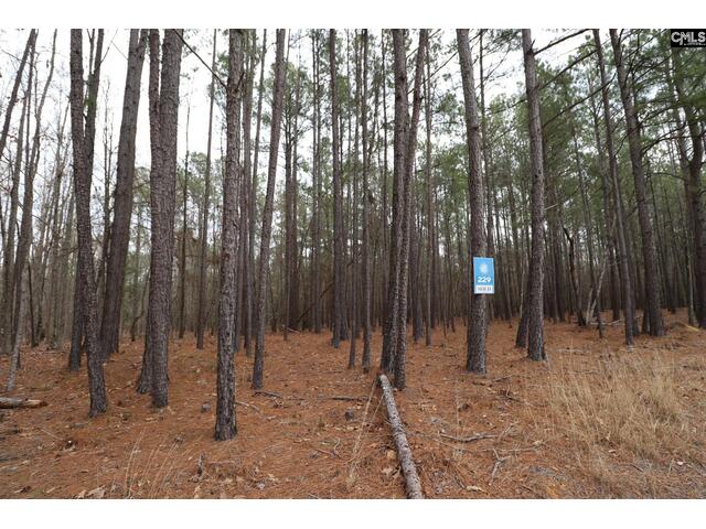 Photo of LOT 229 Granny Hill Road