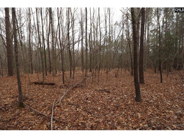 Photo of LOT 229 Granny Hill Road