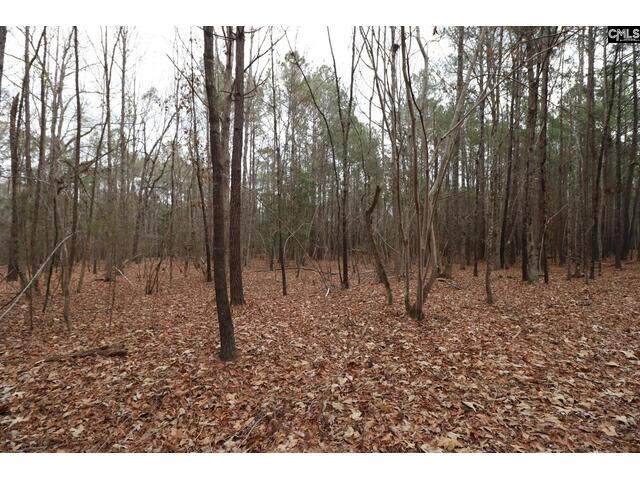 Photo of LOT 229 Granny Hill Road