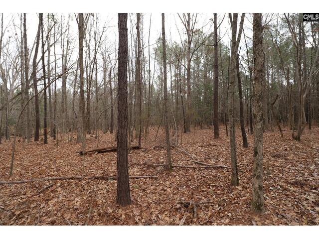 Photo of LOT 229 Granny Hill Road