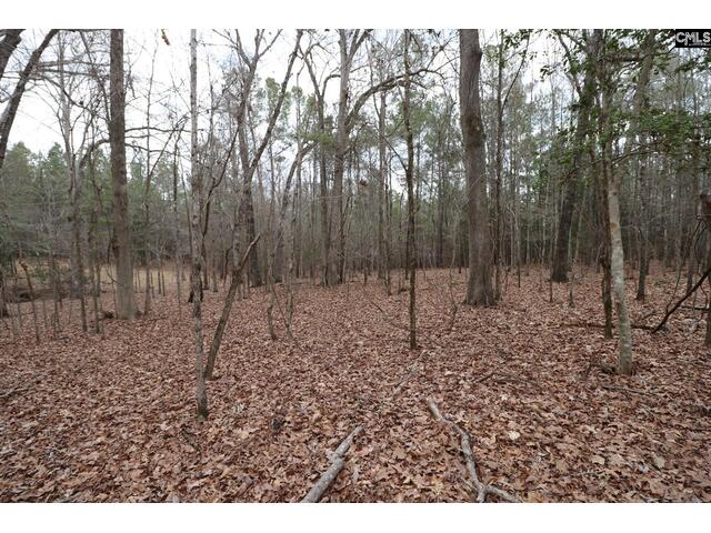 Photo of LOT 229 Granny Hill Road