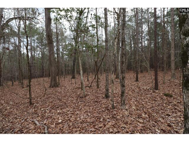 Photo of LOT 229 Granny Hill Road