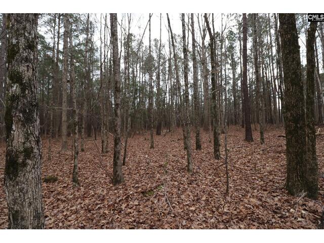 Photo of LOT 229 Granny Hill Road