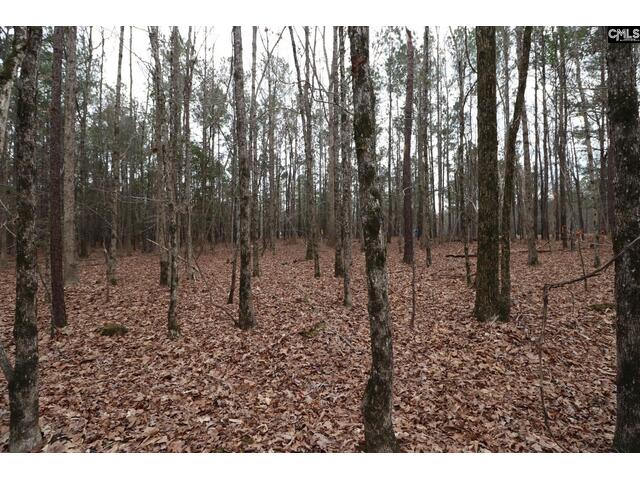 Photo of LOT 229 Granny Hill Road