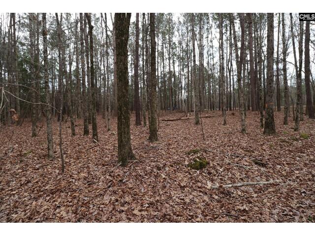 Photo of LOT 229 Granny Hill Road