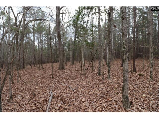 Photo of LOT 229 Granny Hill Road