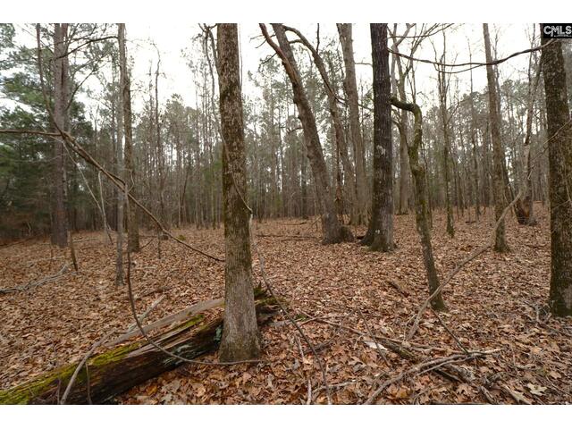 Photo of LOT 229 Granny Hill Road