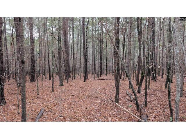 Photo of TBD Colonels Circle