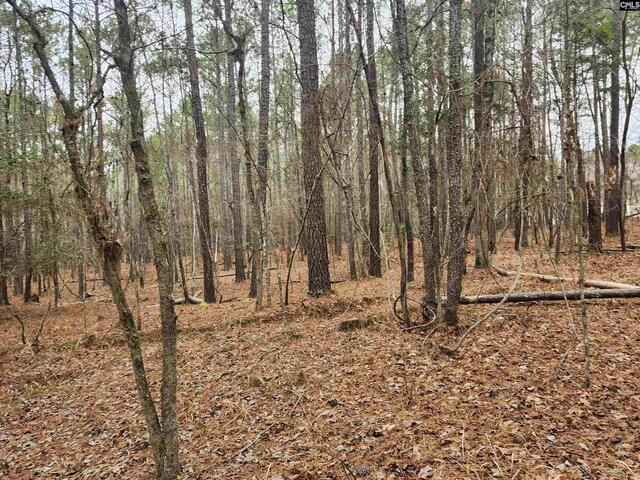 Photo of TBD Colonels Circle