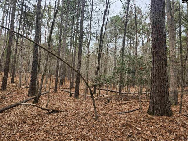 Photo of TBD Colonels Circle