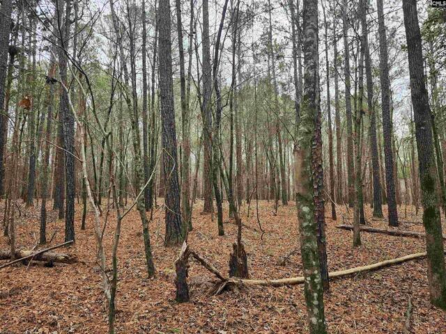 Photo of TBD Colonels Circle