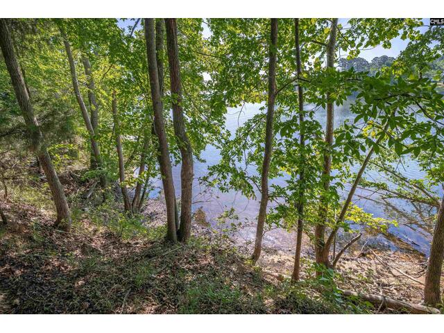 Photo of 2022 Lake Road