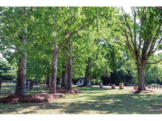 Photo of 481 Cantey Lane