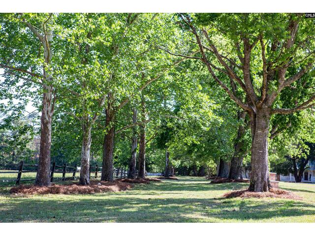 Photo of 481 Cantey Lane