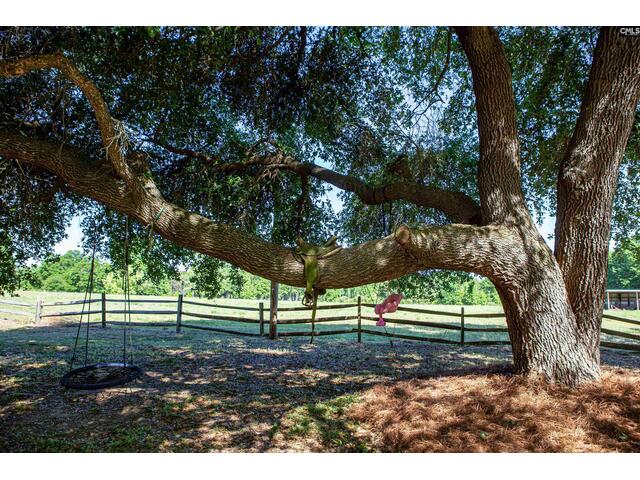 Photo of 481 Cantey Lane