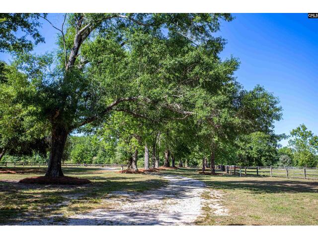 Photo of 481 Cantey Lane