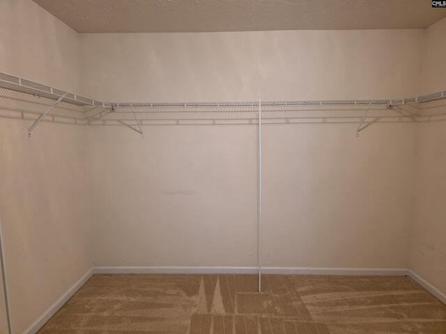 Photo of 76 Saughtree Lane