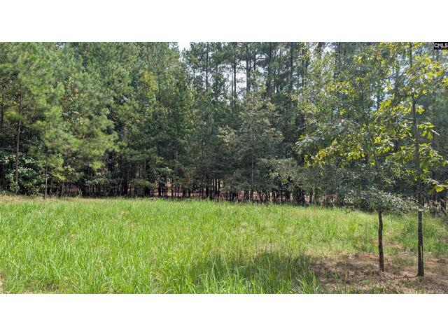 Photo of 19 N Dutchman Creek Road