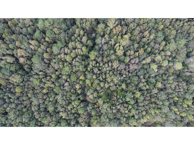 Photo of 1308 Fire Tower Road