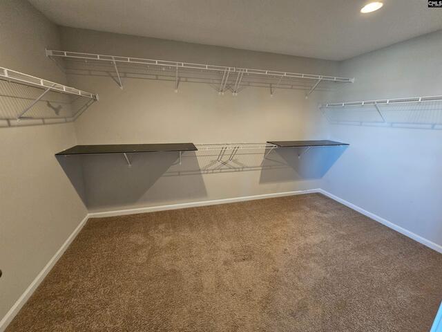 Photo of 46 Texas Black Way