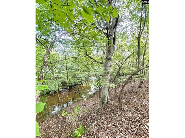 Photo of 166 Sawney Creek Circle Photo of 166 Sawney Creek Circle