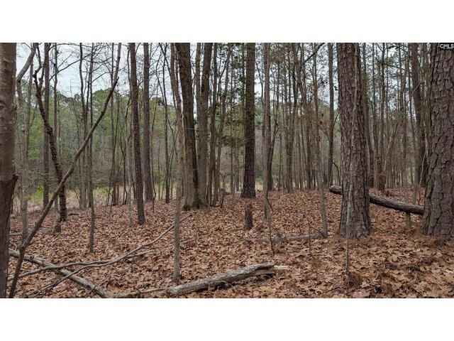 Photo of Lots B & C Miller Road