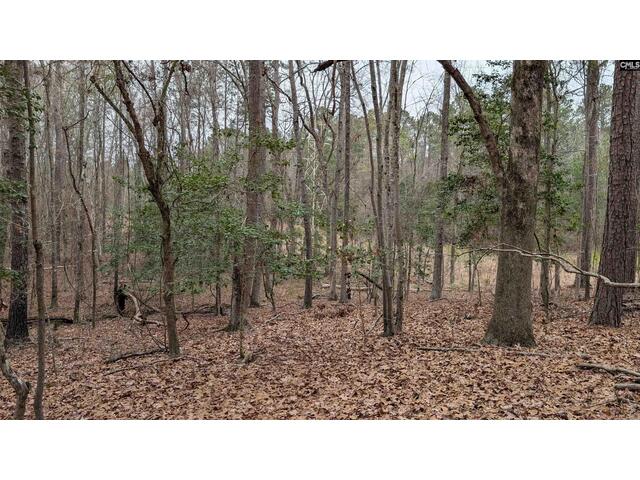 Photo of Lots B & C Miller Road