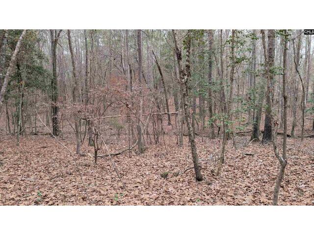 Photo of Lots B & C Miller Road