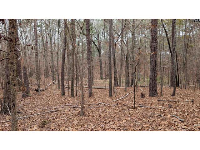 Photo of Lots B & C Miller Road