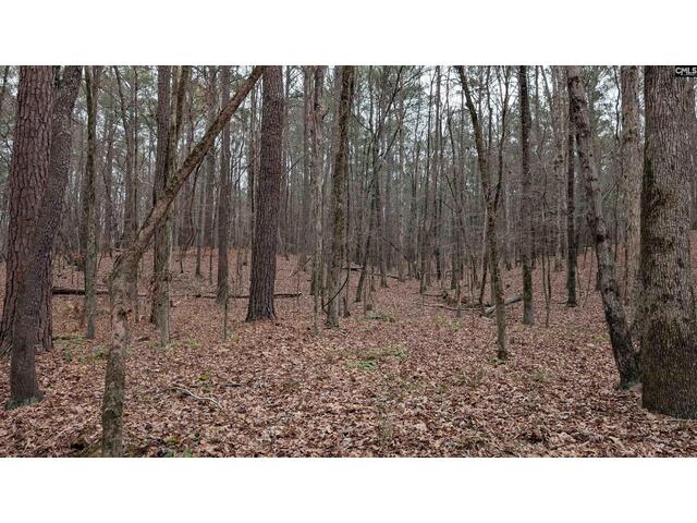 Photo of Lots B & C Miller Road