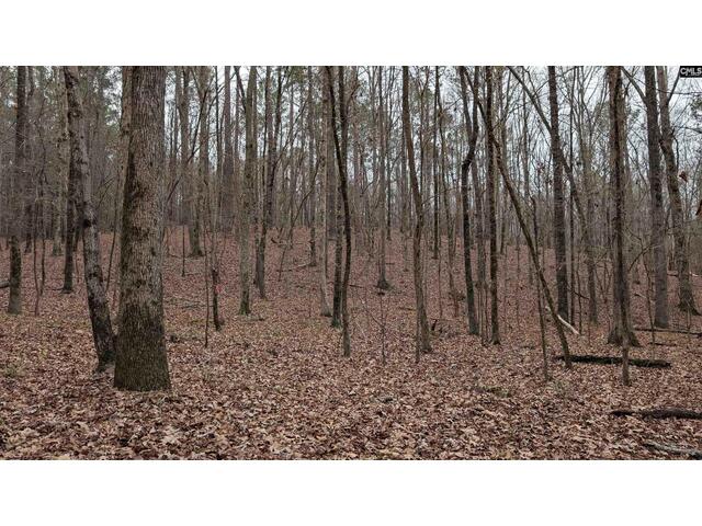 Photo of Lots B & C Miller Road