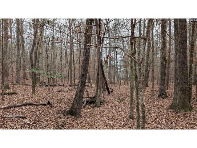 Photo of Lots B & C Miller Road