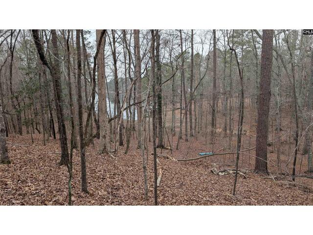 Photo of Lots B & C Miller Road