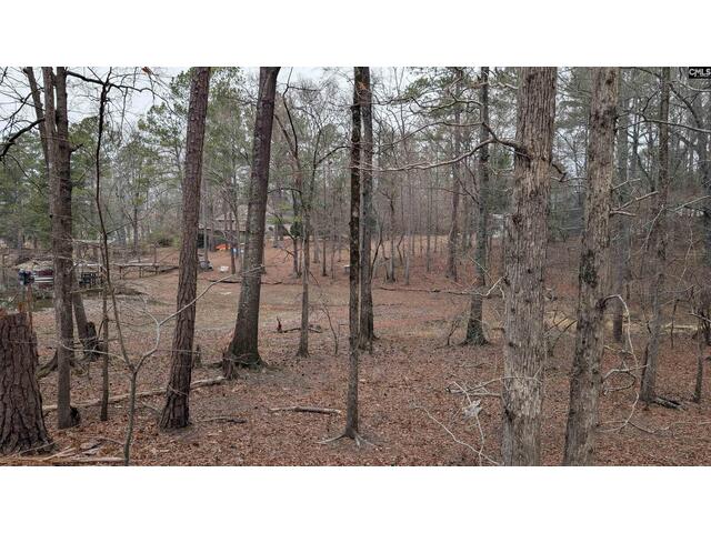 Photo of Lots B & C Miller Road