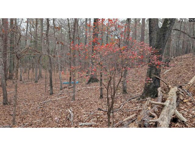 Photo of Lots B & C Miller Road