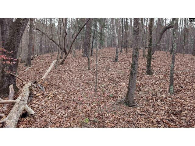 Photo of Lots B & C Miller Road